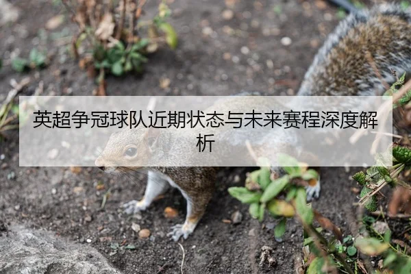 英超争冠球队近期状态与未来赛程深度解析